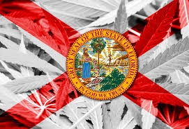 Florida Hemp Restrictions Stalled — What It Means for the Industry