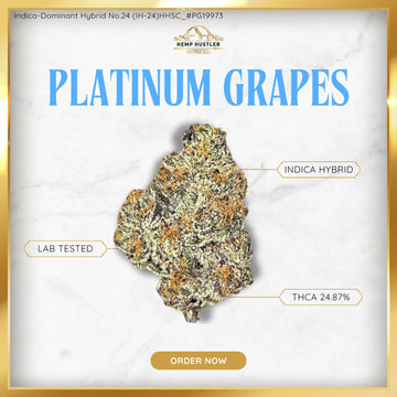 Platinum Grapes - 25% THCa Hybrid