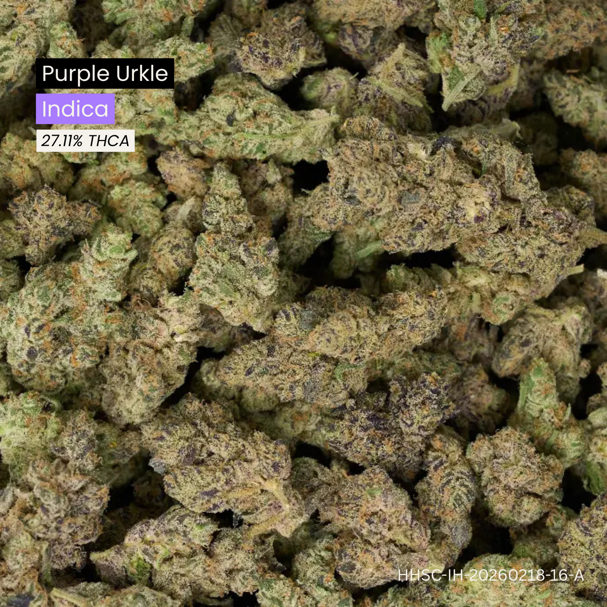 Purple Urkle