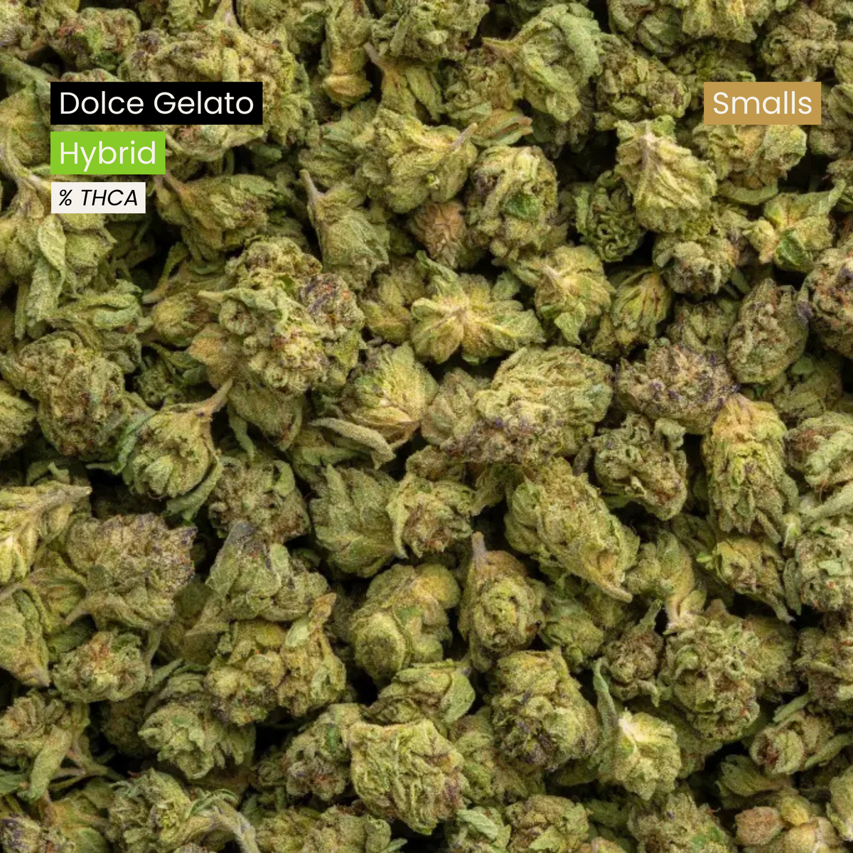 Dolce Gelato Smalls