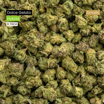 Dolce Gelato Smalls