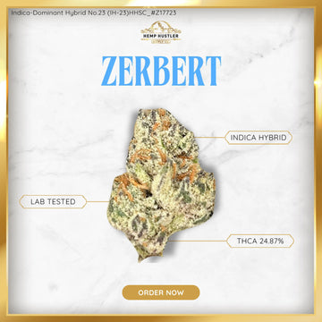 Zerbert - 24.87% THCa Hybrid