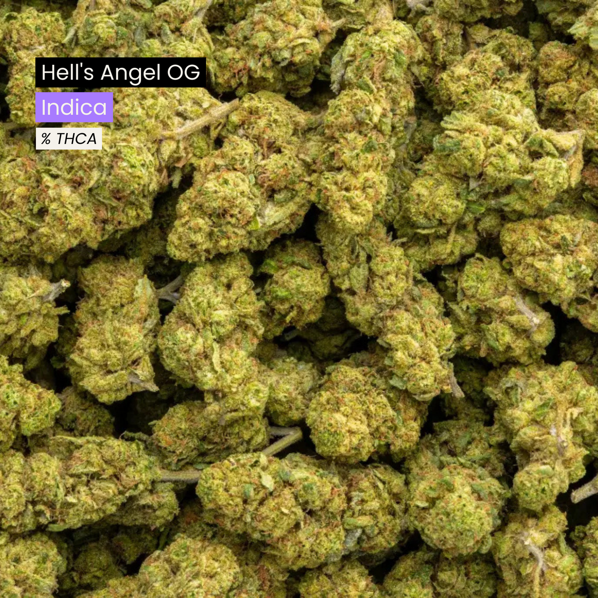 Hell's Angel OG