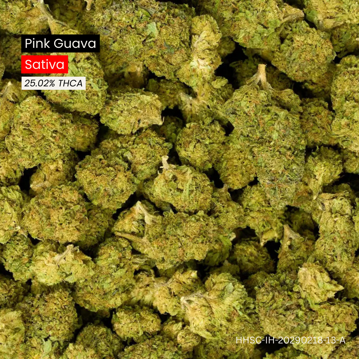 Pink Guava