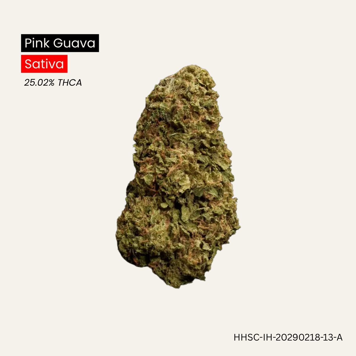 Pink Guava