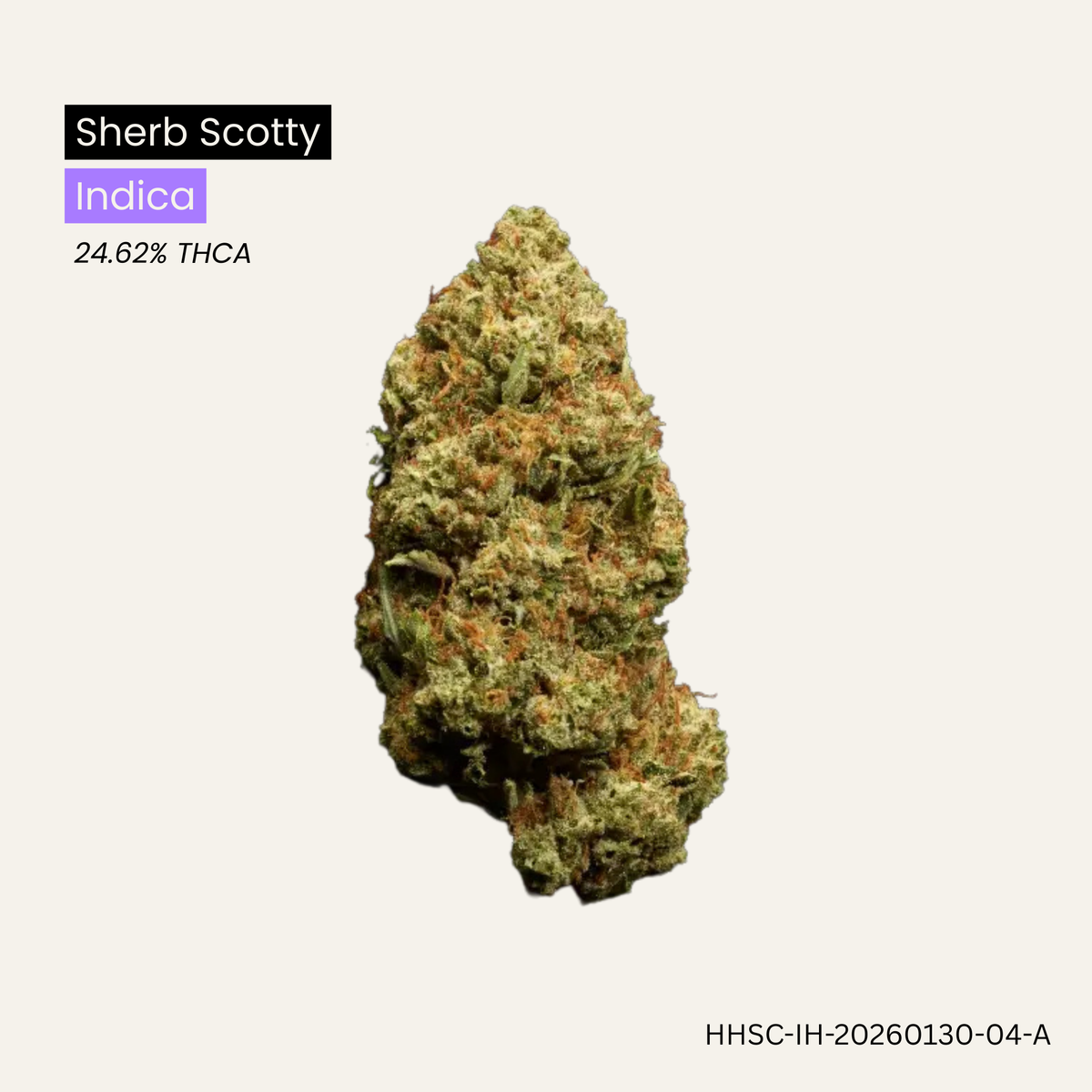 Sherb Scotty