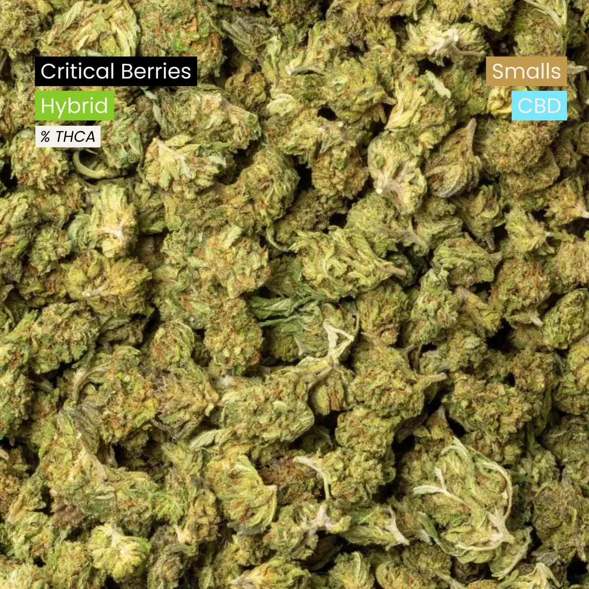 Critical Berries Smalls (CBD)