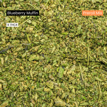 Blueberry Muffin Preroll Mix