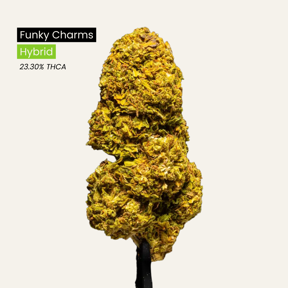 Funky Charms
