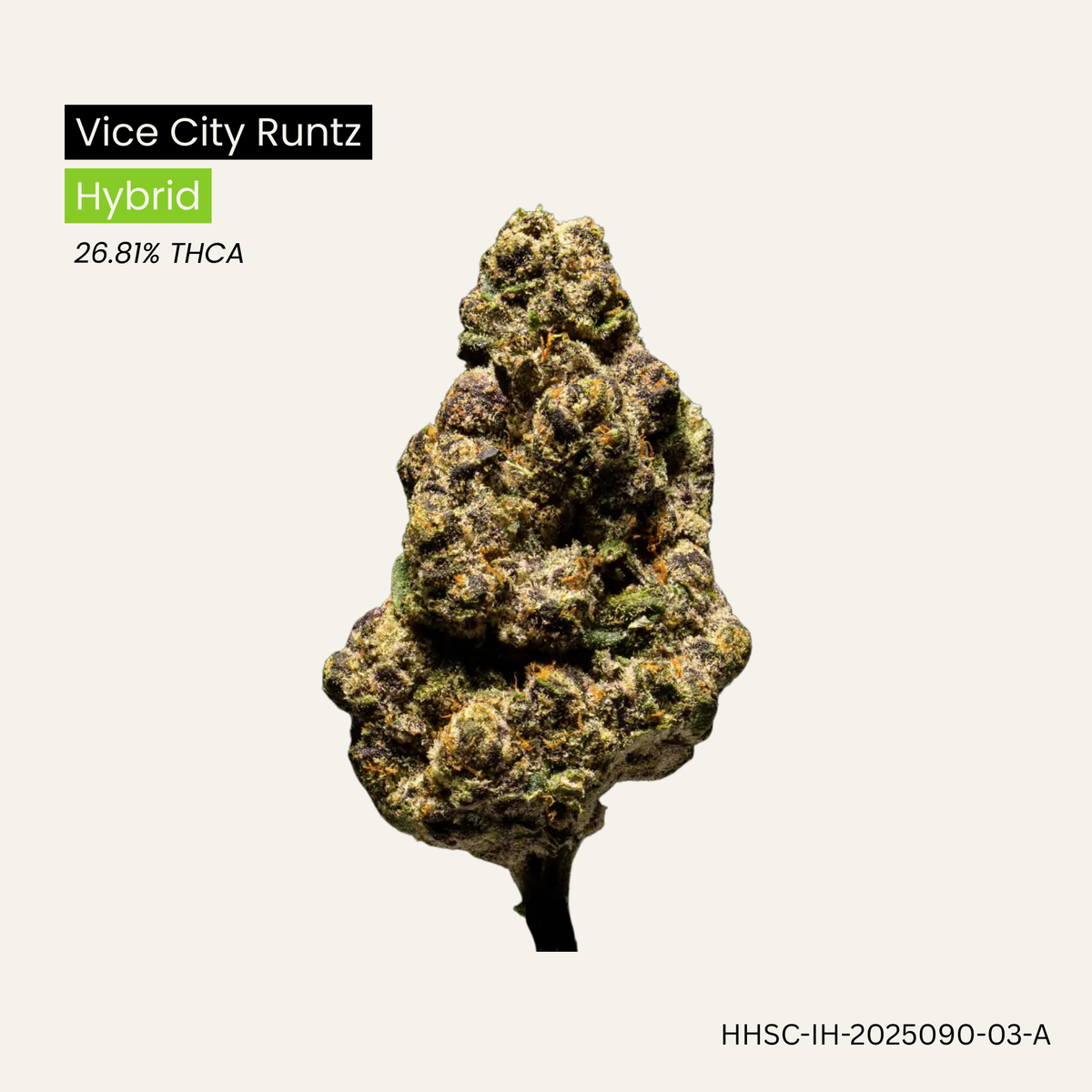 Vice City Runtz