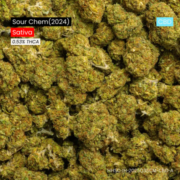 Sour Chem (CBD) (2024)
