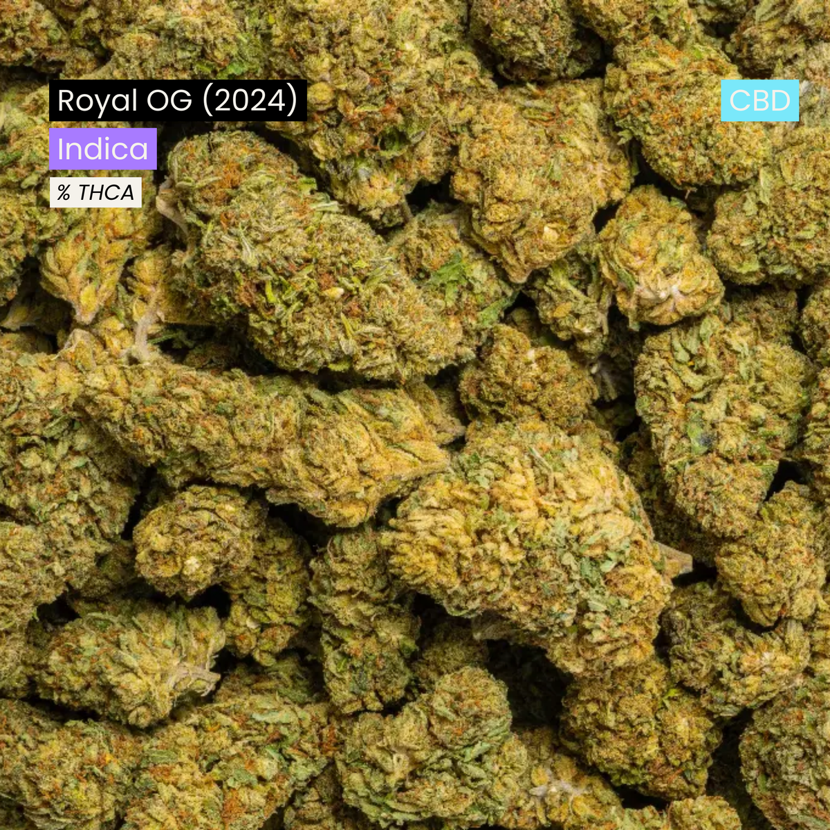 Royal OG (CBD) (2024)