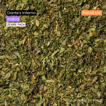 Dante's Inferno Preroll Mix