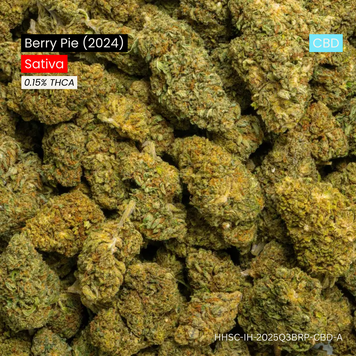 Berry Pie (CBD) (2024)