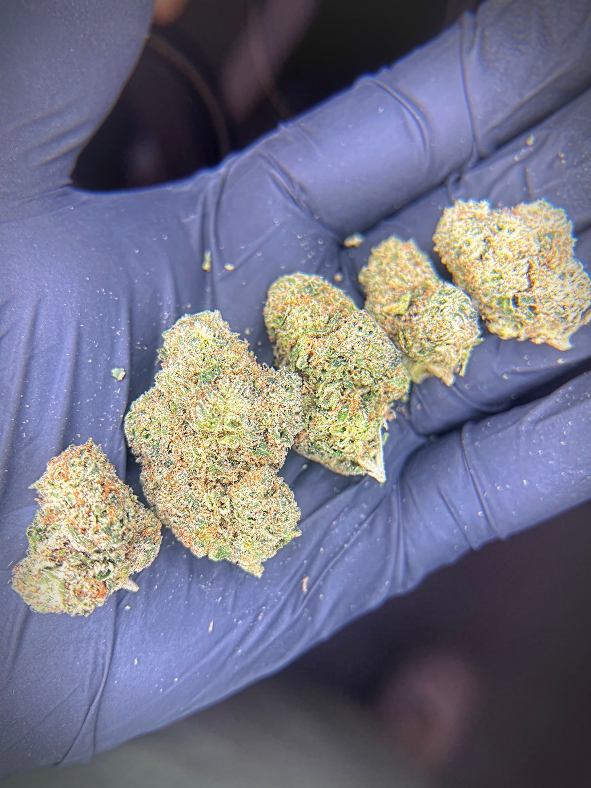 Platinum Grapes - 25% THCa Hybrid