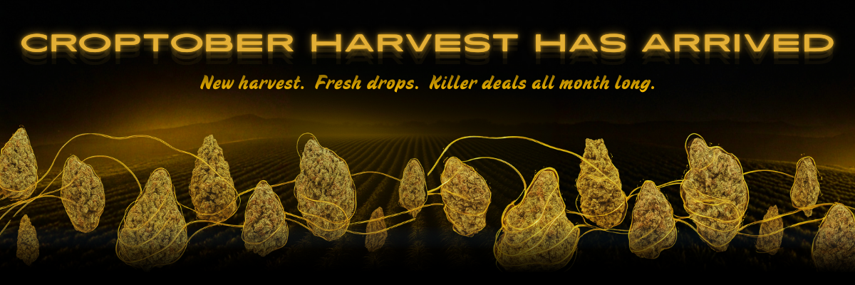 slider image slider_item_7KiqhT