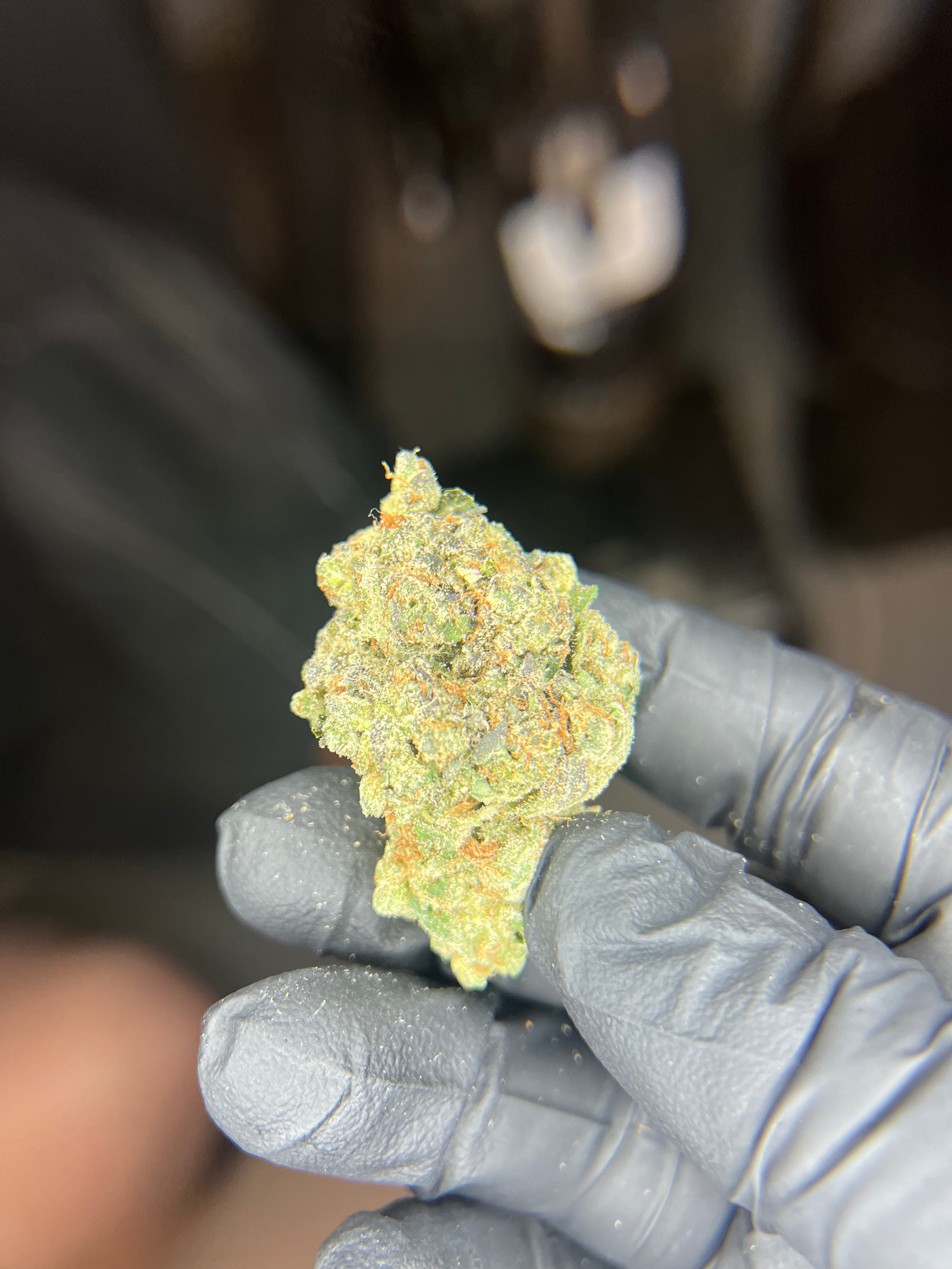 Gelonade - 25.95% THCa Sativa