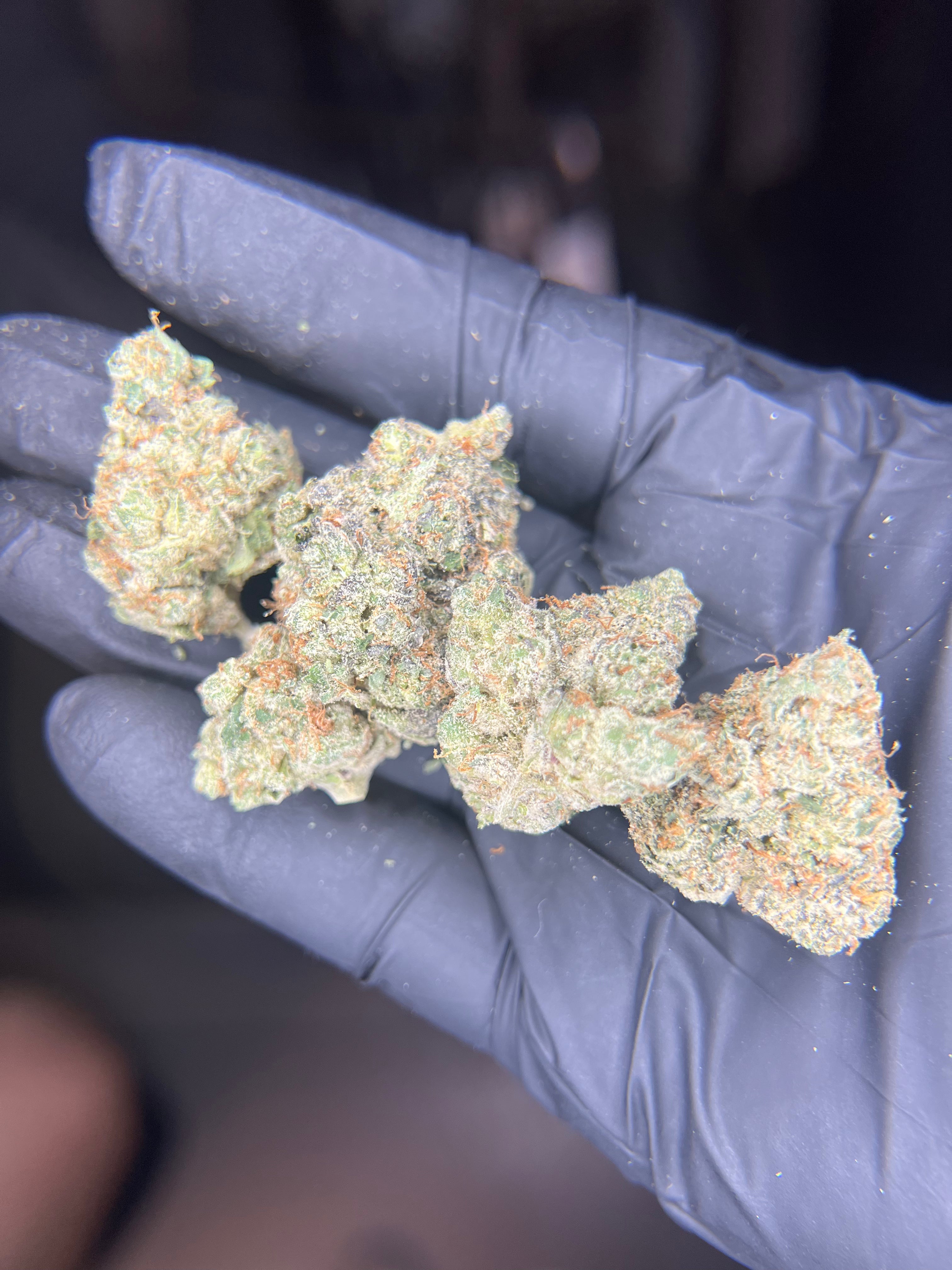 Gelonade - 25.95% THCa Sativa