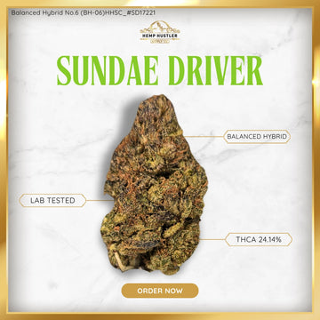 Sundae Driver - 24.14% THCa Hybrid