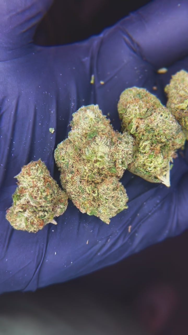 Platinum Grapes - 25% THCa Hybrid