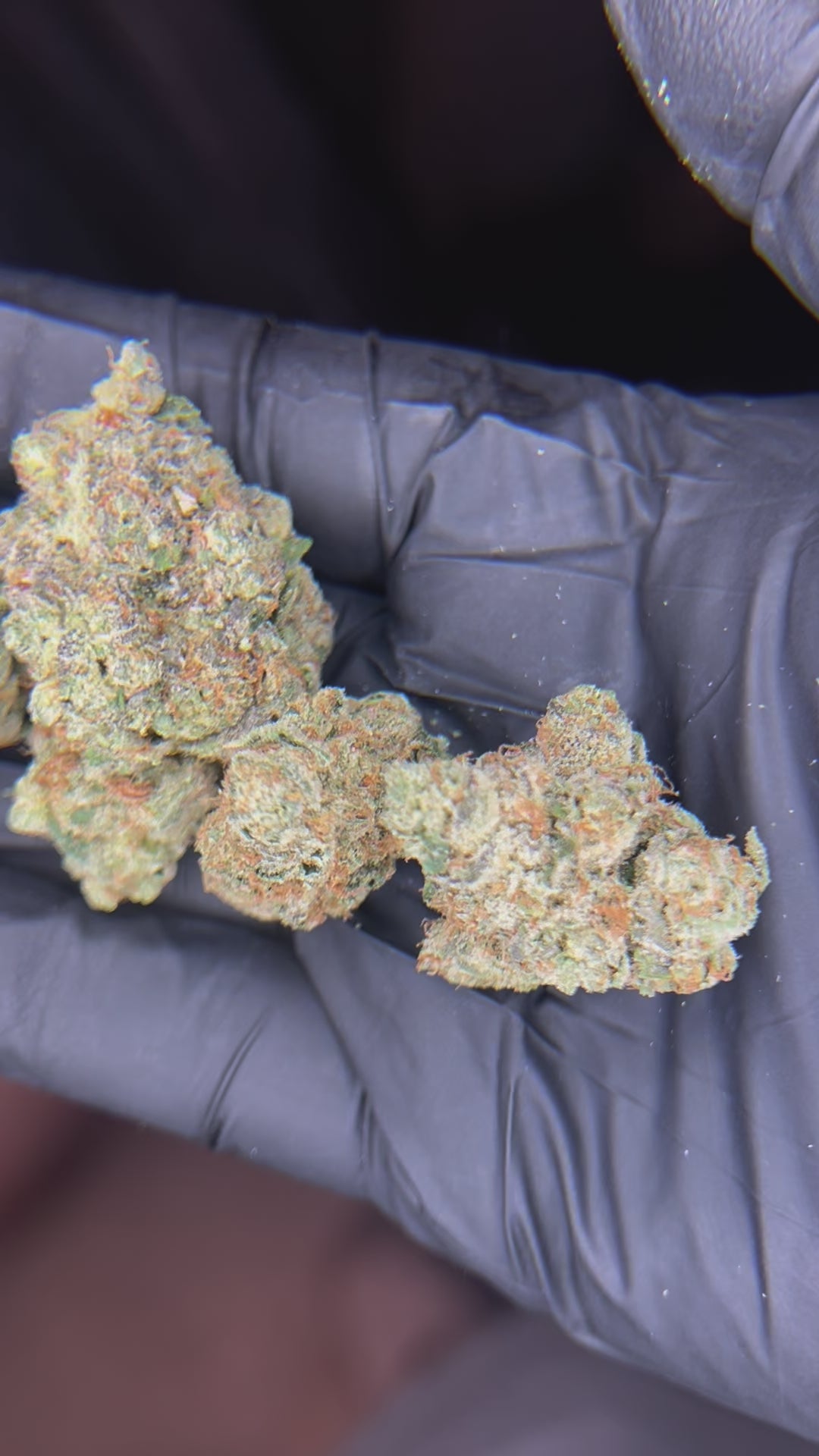 Gelonade - 25.95% THCa Sativa