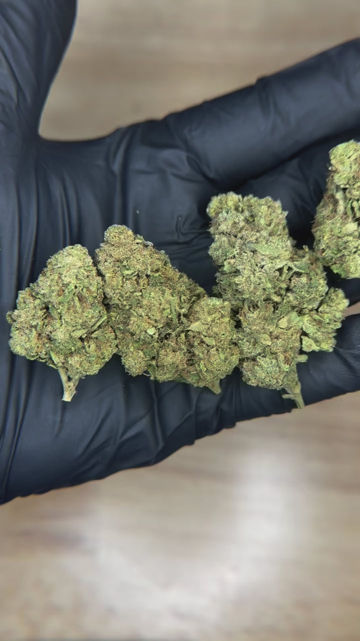 Northern Lights - 23.92% THCa Indica