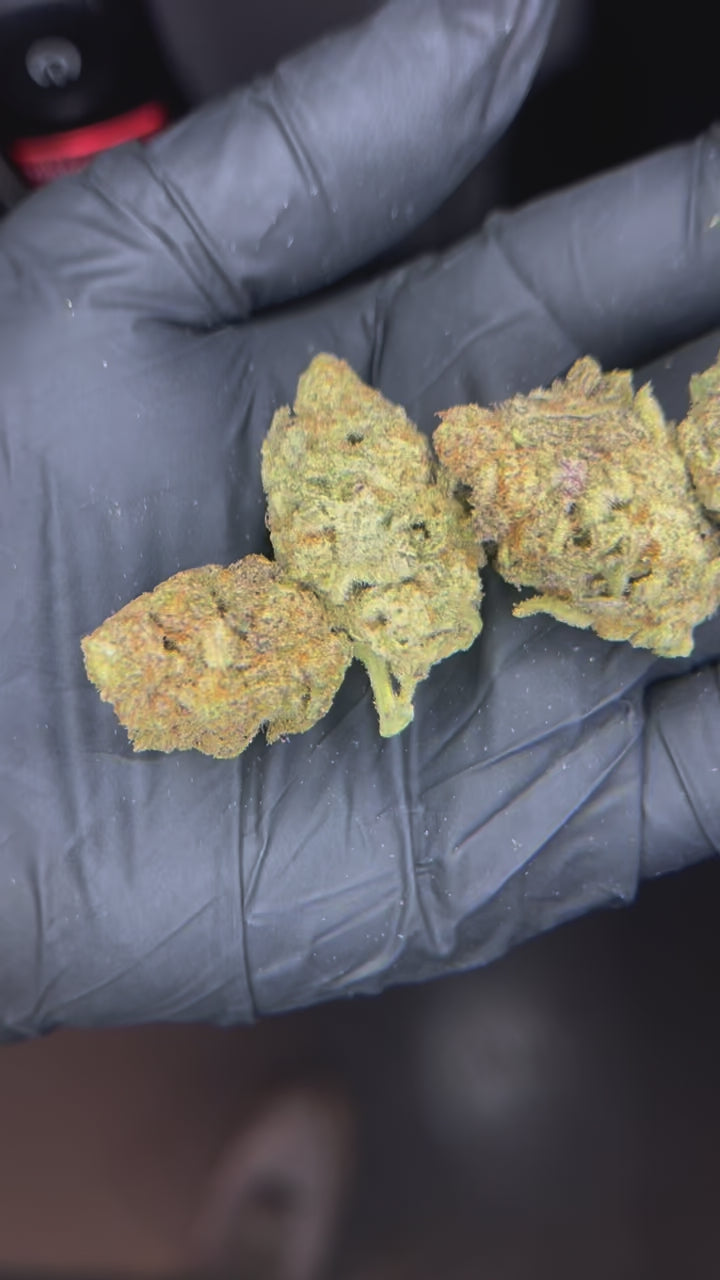 Zerbert - 24.87% THCa Hybrid