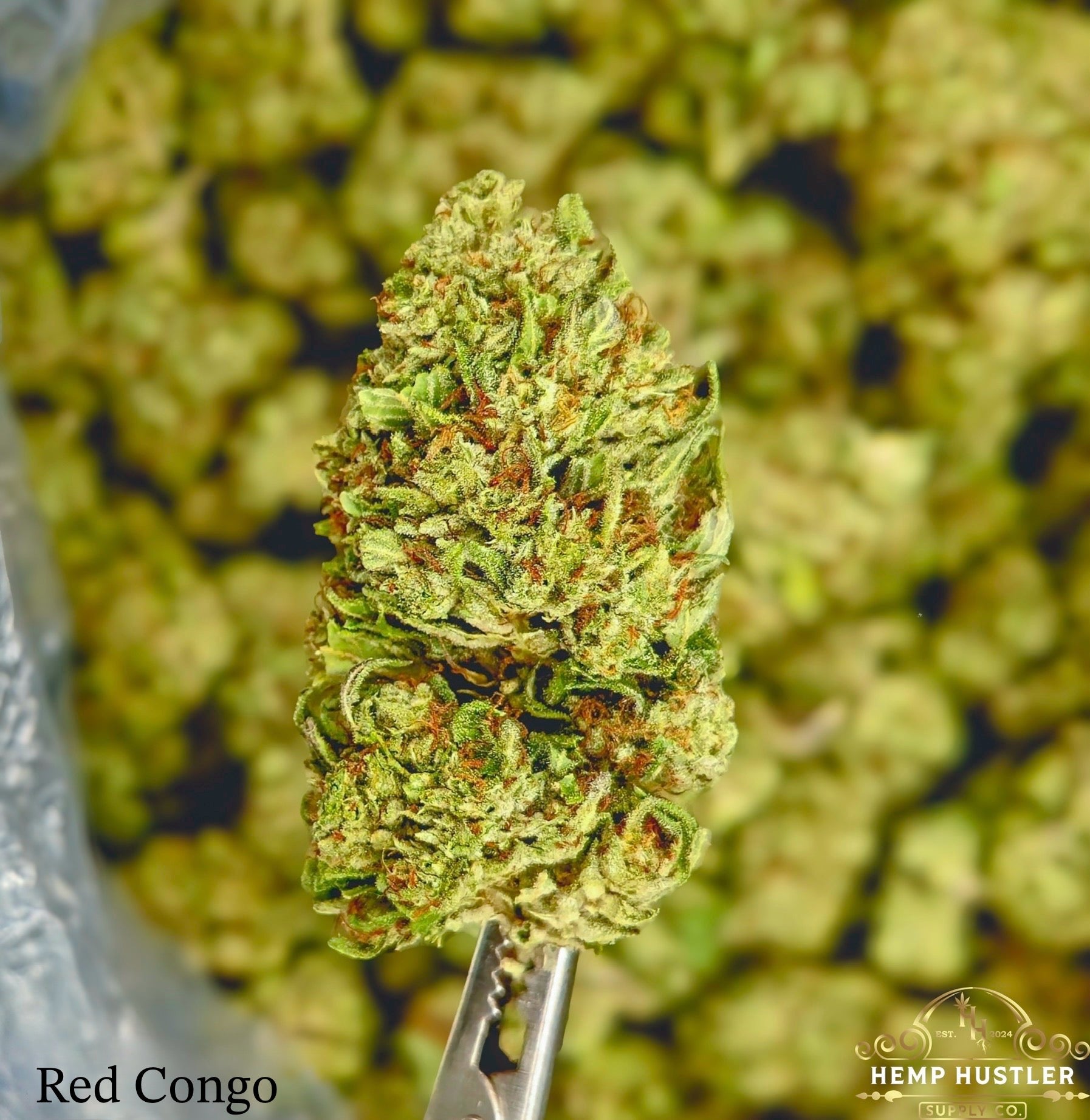 Red Congo - 25.76% THCa Sativa